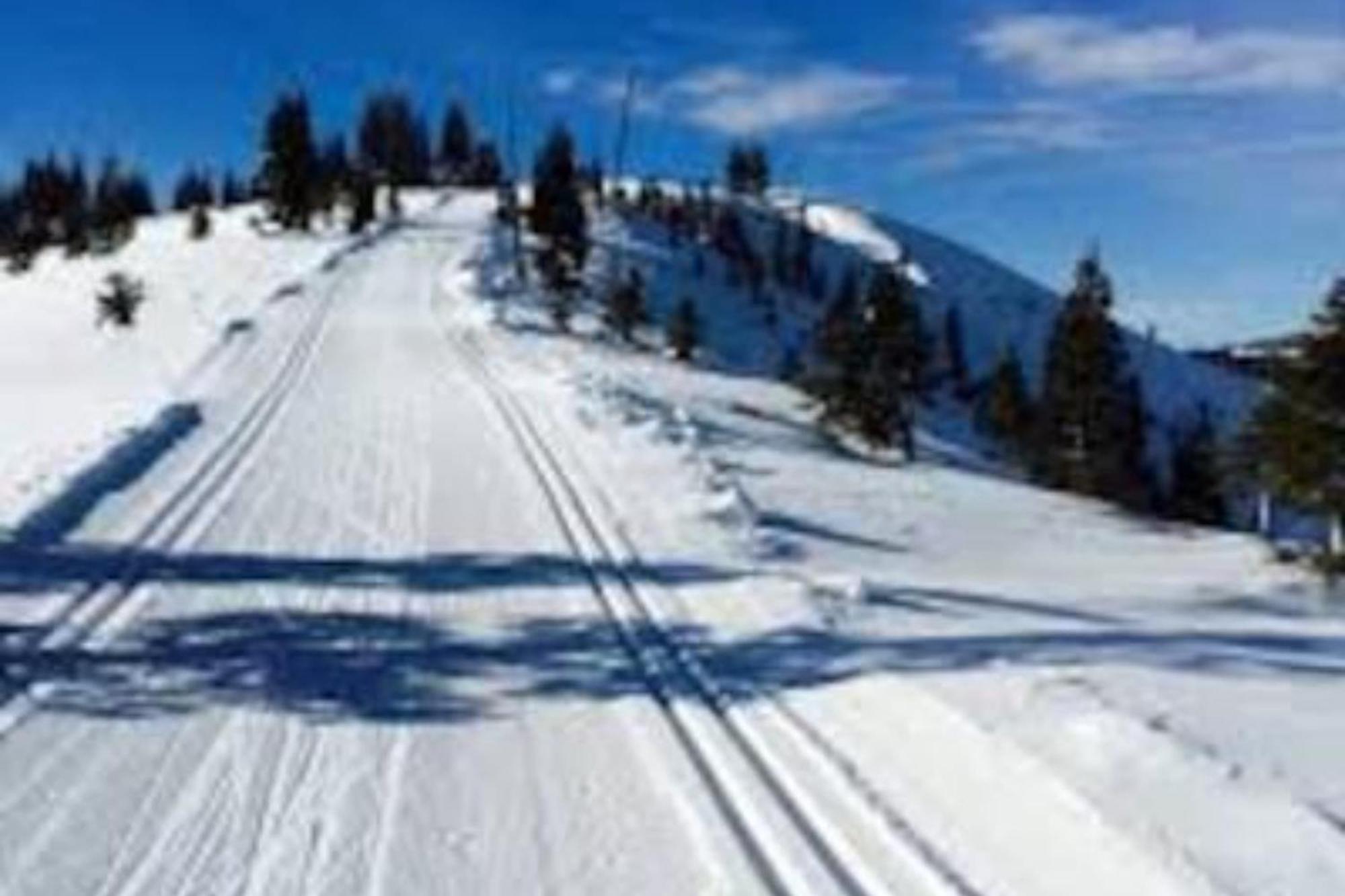 Moosetrack By Avantstay Cozy Cabin In The Of Tahoe Donner W Hot Tub Truckee Eksteriør billede